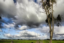 开云平台-冰与火之歌：华尔福德客场掀翻太妃糖，草根逆袭震撼英超！