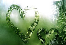 开云体育下载-钢钉铸就的荣耀：中国篮球巨星的膝上征途