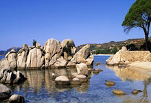 开云体育登录-塔斯马尼亚联防守体系稳固，力求半决赛再创佳绩