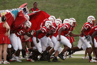 开云平台-帕尔梅拉斯球迷现场助威，球队斗志昂扬