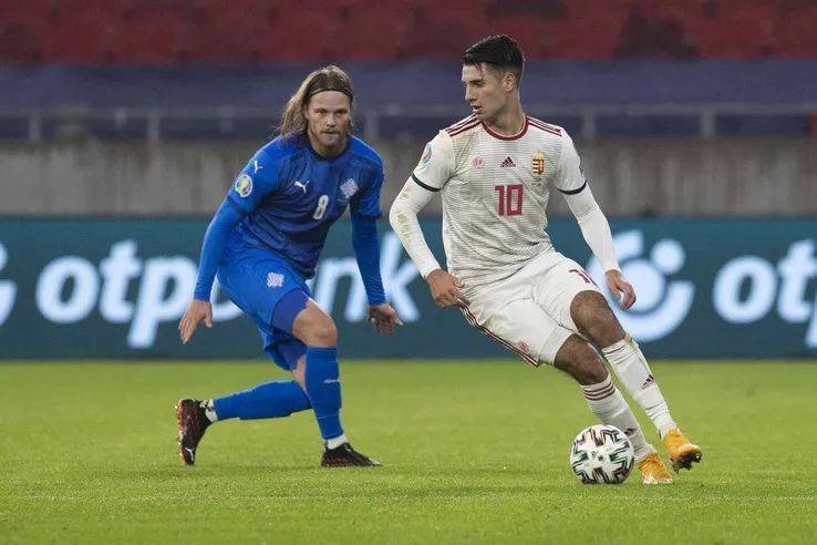 开云体育app-匈牙利队逆转比分，取得胜利