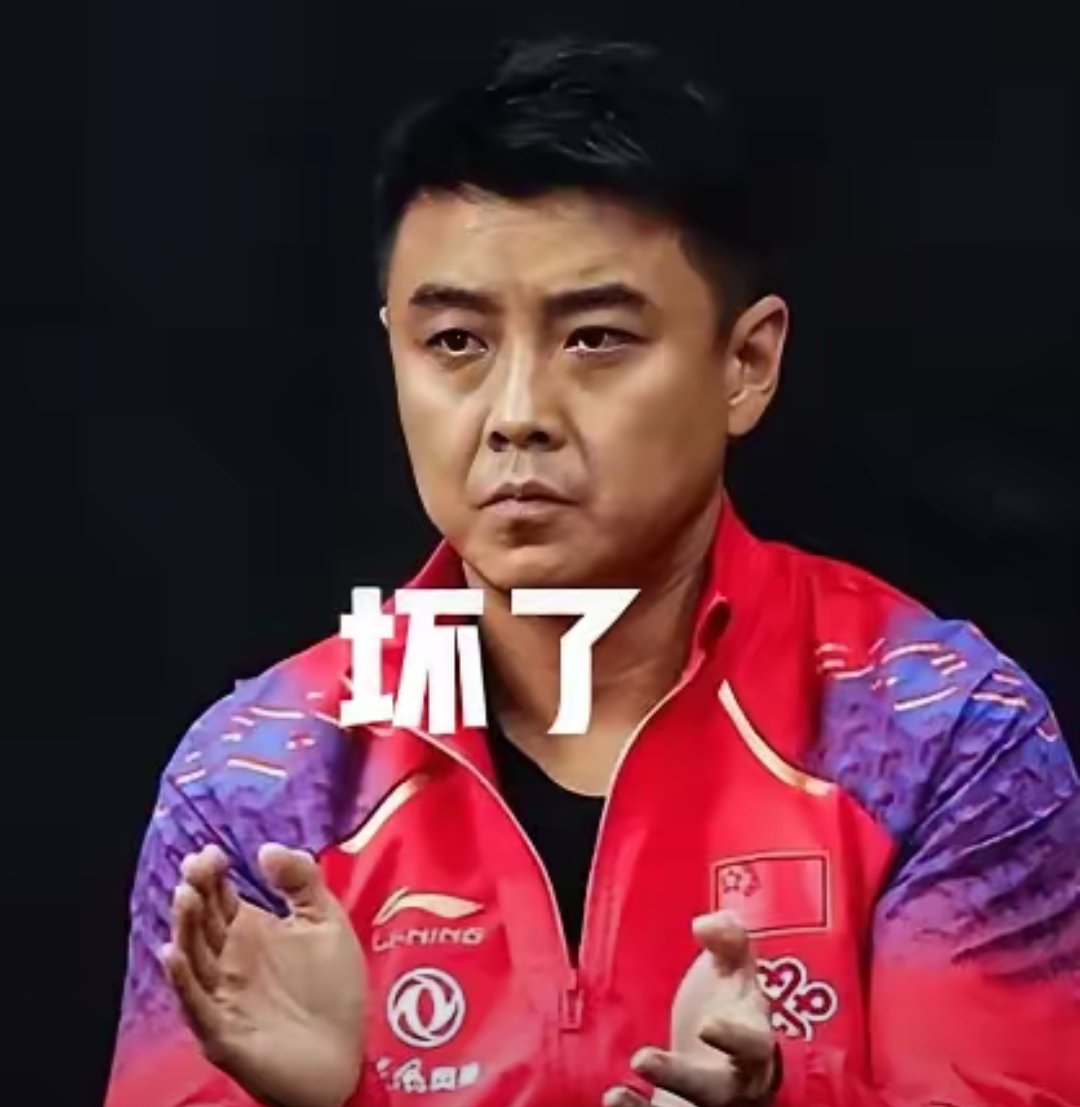 开云体育平台APP-奥地利乒乓球队翻盘日本乒乓球队，王皓关键制胜的简单介绍