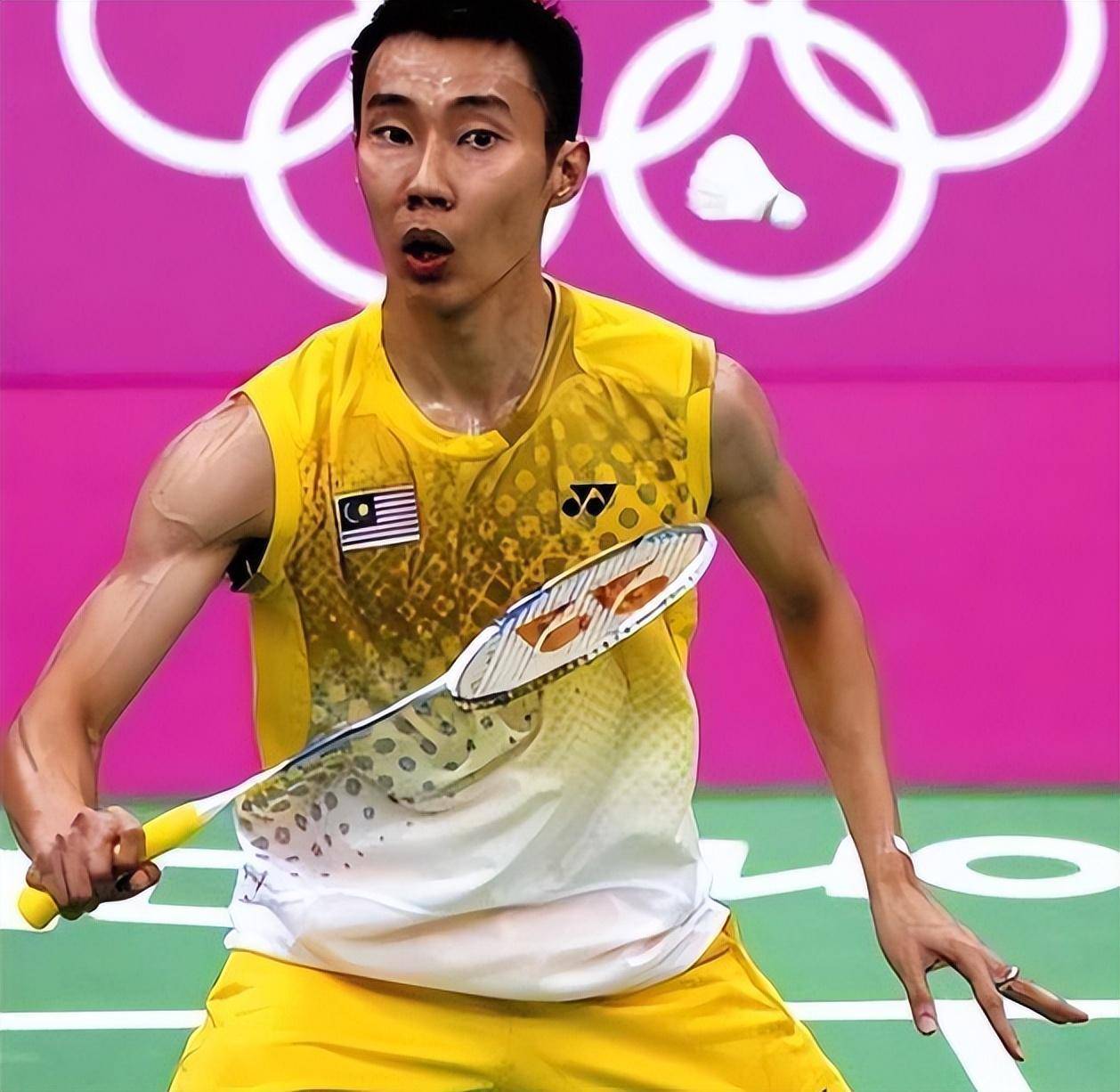 开云体育官方网站-包含法国羽毛球队血洗中国羽毛球队，李宗伟完成帽子戏法的词条