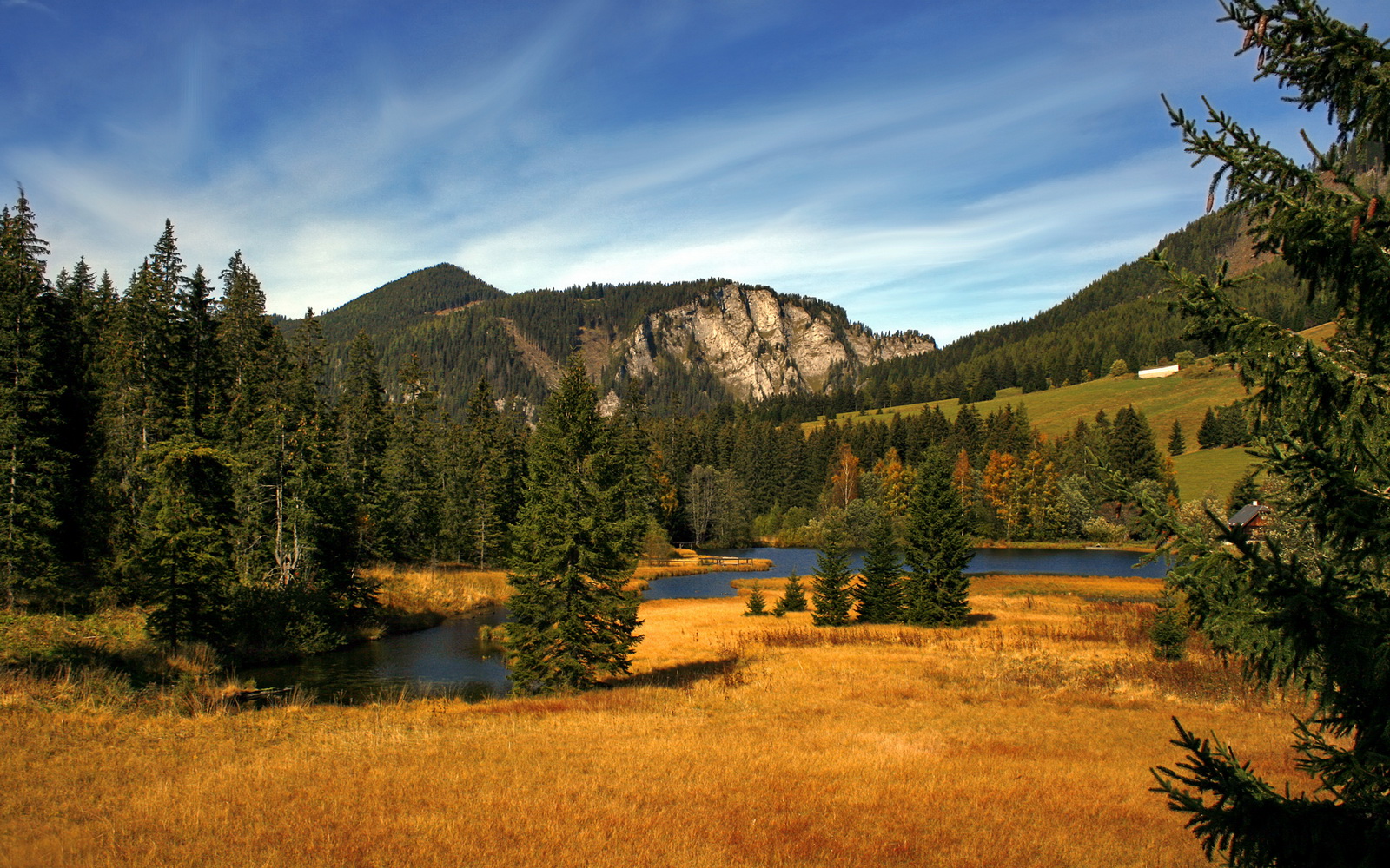 骑士速胜独行侠,哈利伯顿的未节英雄主义