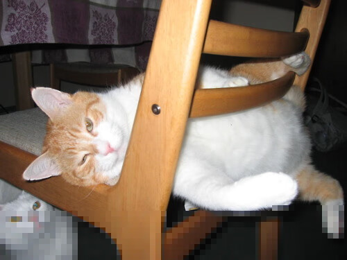 从苏亚雷斯的怒吼到乌克兰的铁流，绿茵场上，爆发的两种维度