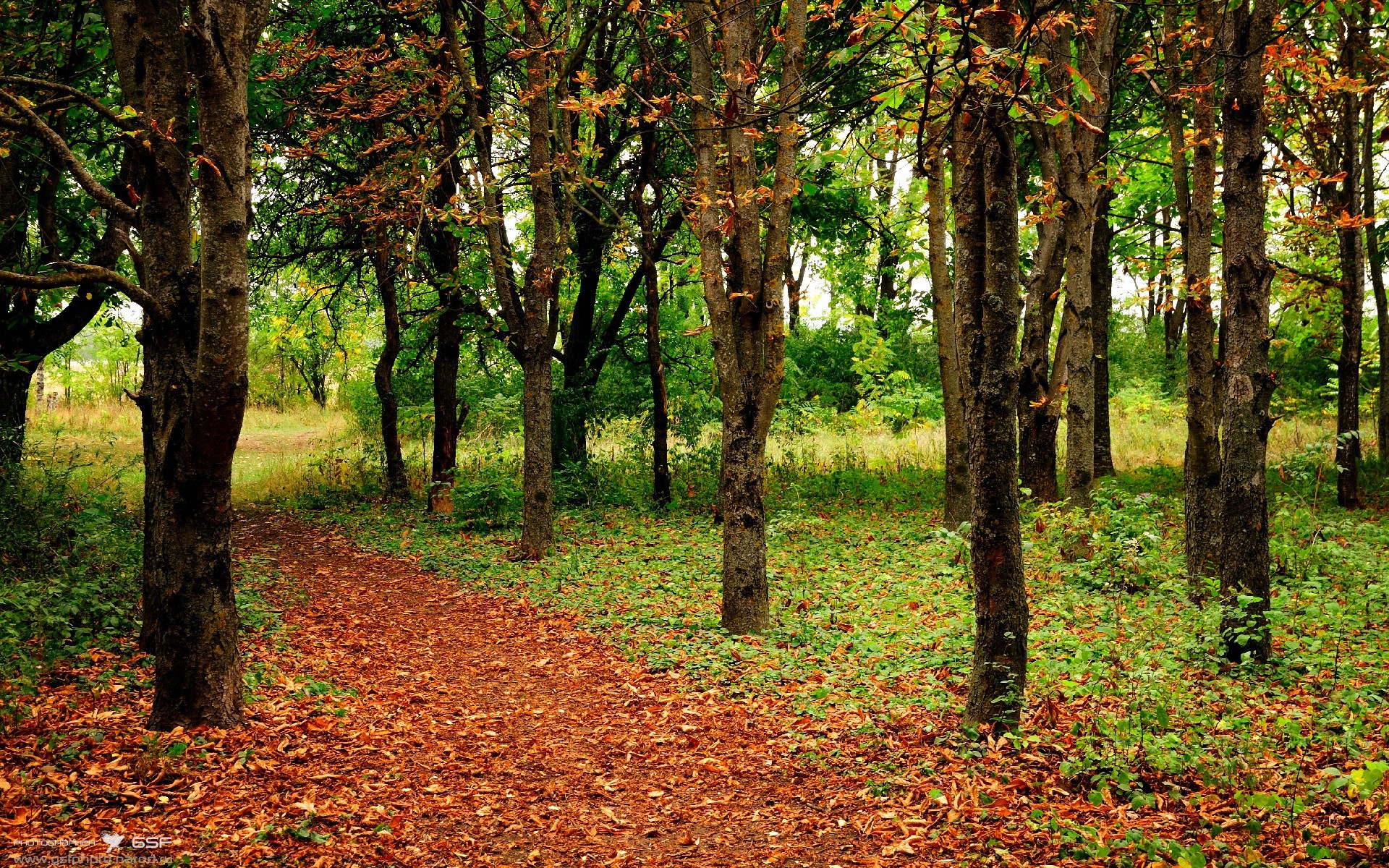 牙买加风暴席卷梦剧场,当草根智慧全面压制豪门傲慢