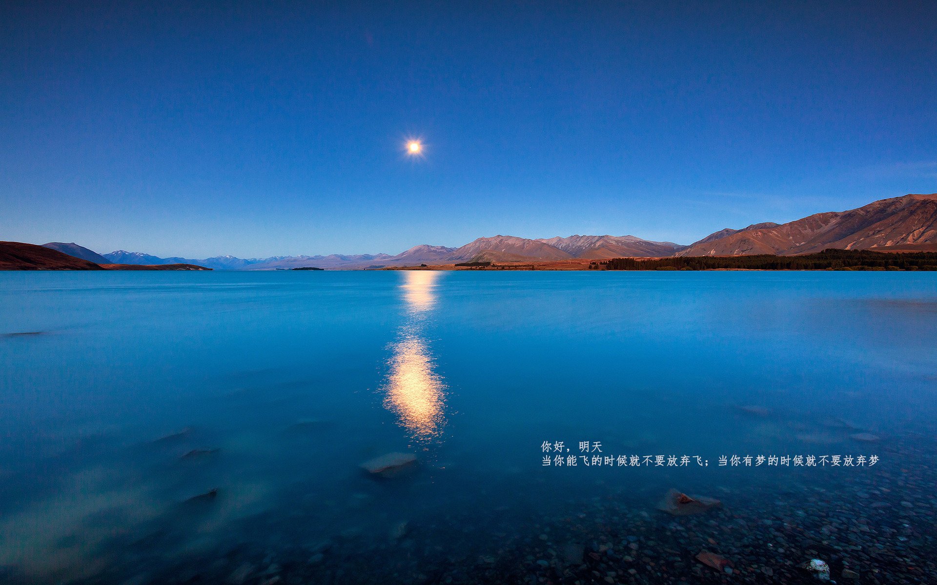 开云体育在线-鹰隼振翅，当节奏成为撕碎热火的利爪