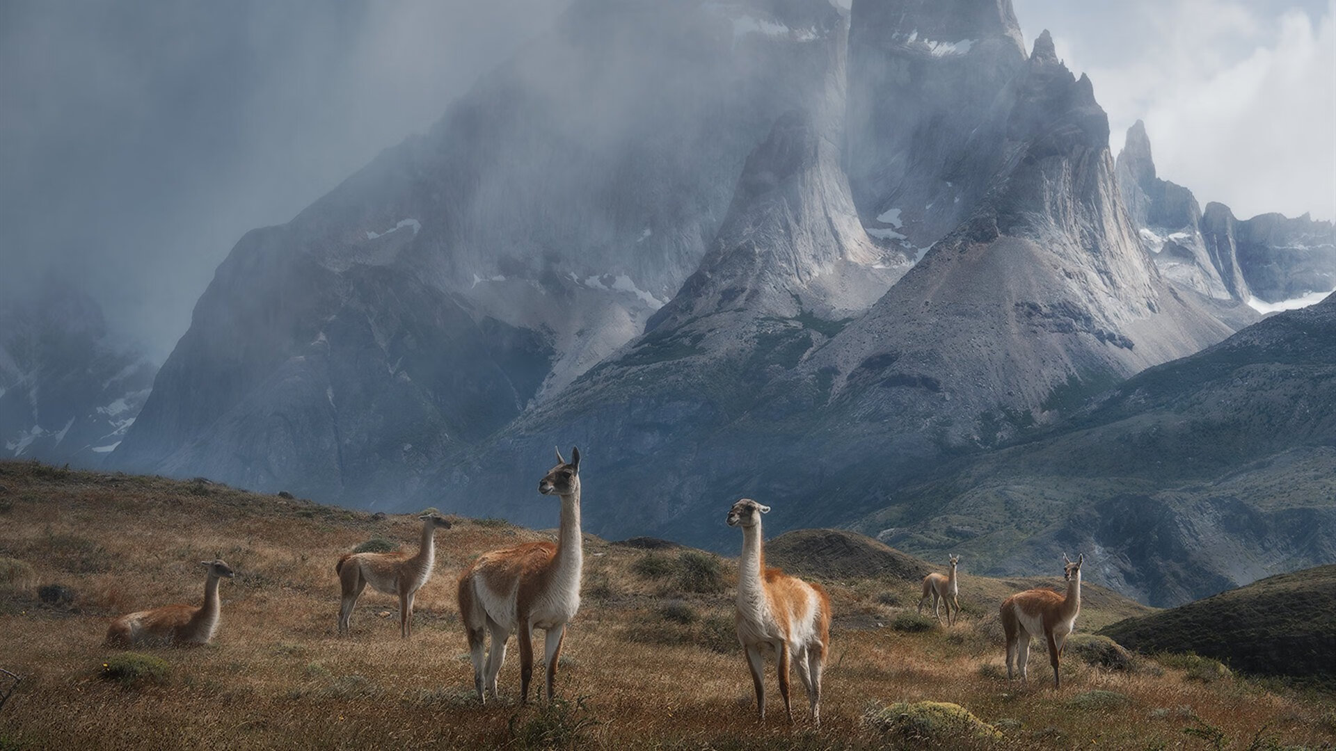 拉齐奥奇兵破敌阵,阿什拉夫上演边路魔术