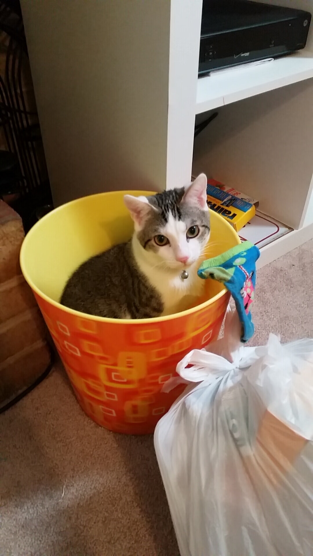 开云体育app-末节毒刺，当杜兰特化身黄蜂，蛰穿西决的黄昏