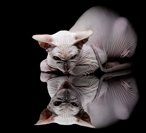 冷风与星光,当牙买加掀翻沙特,久保建英正加冕硬仗之王