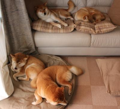 开云官网-末节的韧性与焦点的接管，足球场上那些决定性的非典型英雄