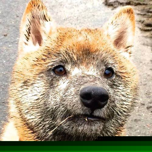 熔炉中的淬炼,亚特兰大末节风暴击碎委内瑞拉坚韧防线