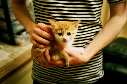 开云体育app-生死之夜，迪马利亚剑指胜利—西决关键战纪实