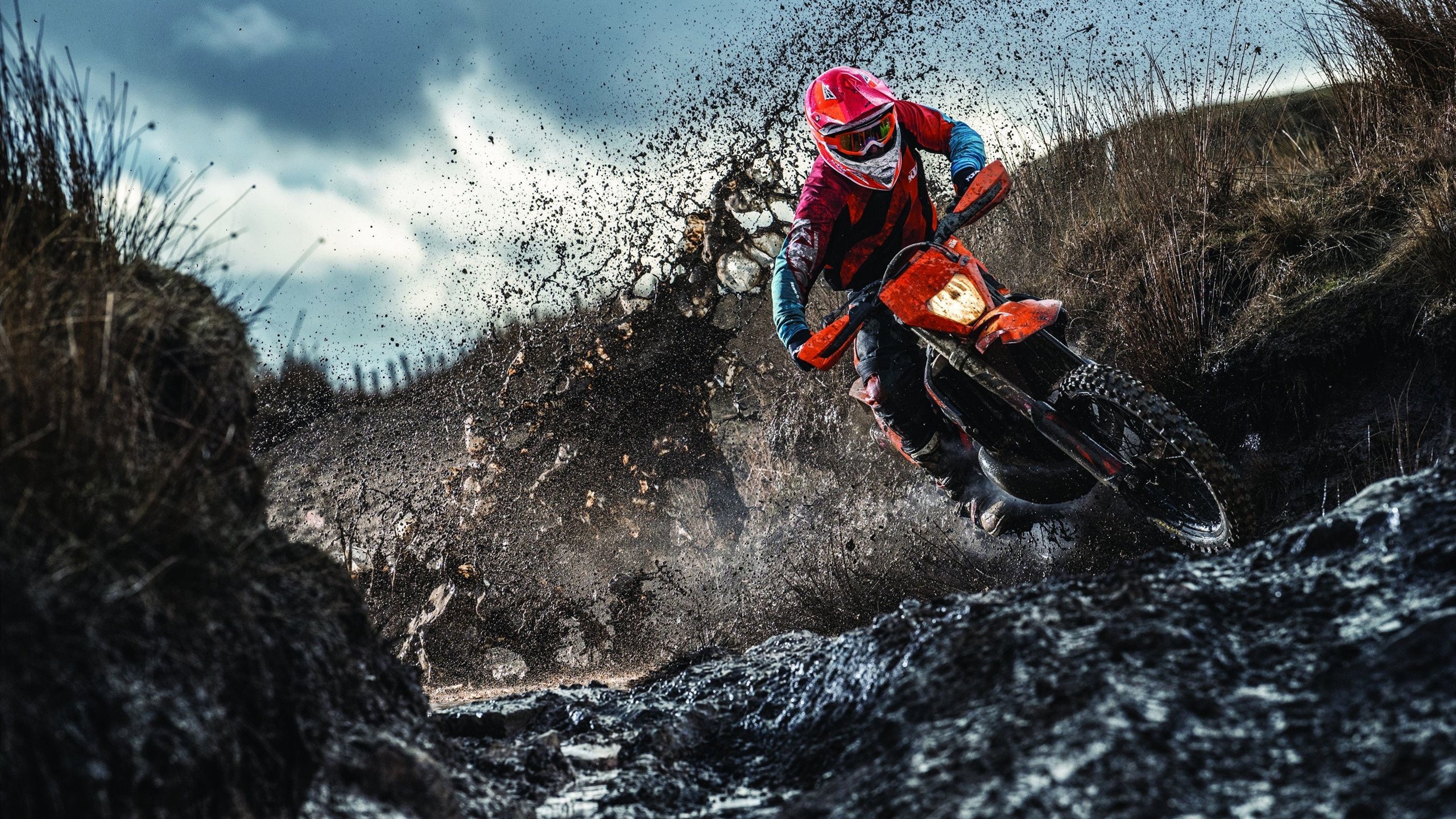 开云体育官网-新王当立，贝林厄姆的指挥与德国战车永不熄灭的意志火焰