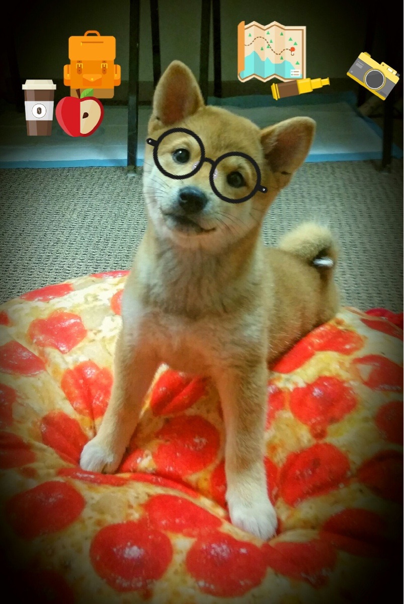 开云体育app-卡拉斯科，红魔逆境中的王者之剑，曼联用连胜击碎土耳其堡垒