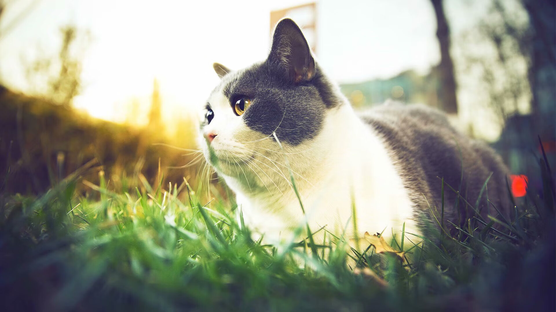 开云体育入口-指尖翻转的星河,乔治季后赛之夜掌控全场