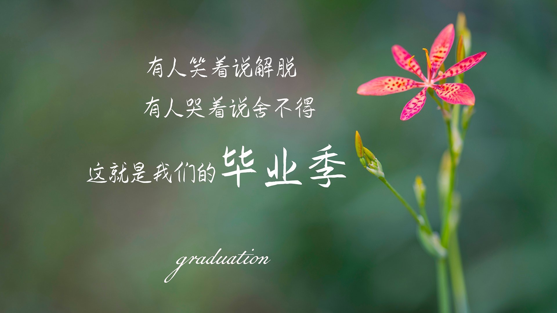 开云APP-意甲焦点战,马里锋霸末节定乾坤,瑞士铁闸徒留遗憾