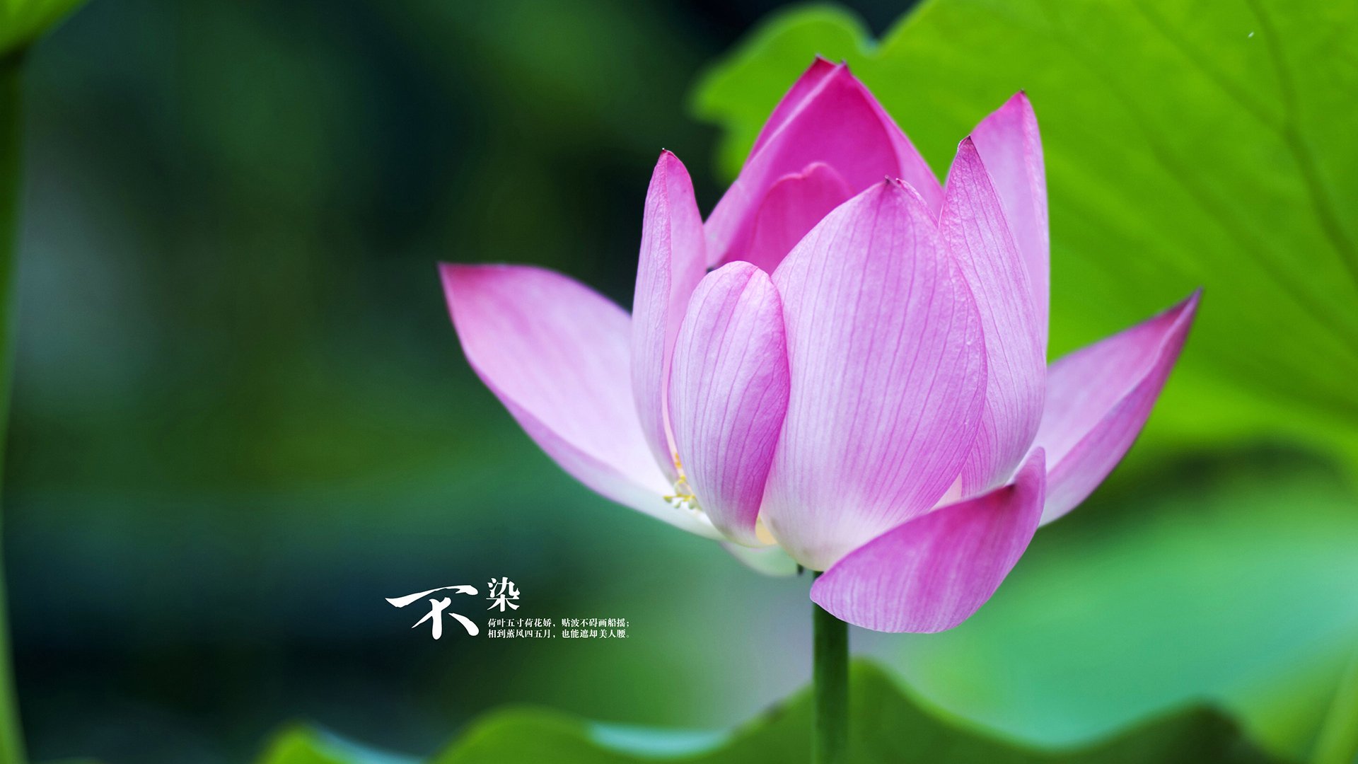 国家德比烽火连天，北京队加时鏖战掘金—体育双焦点赛事回顾