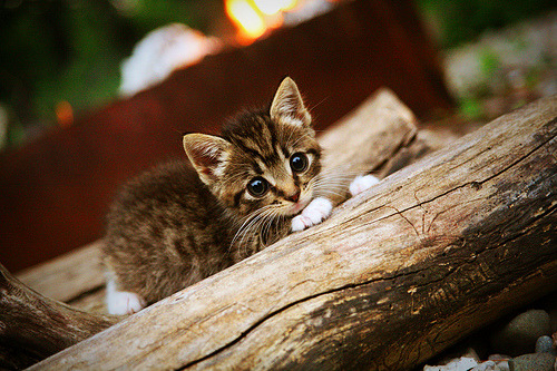 指挥家的左手,哈登如何将马刺与热火的交响曲谱成个人华章