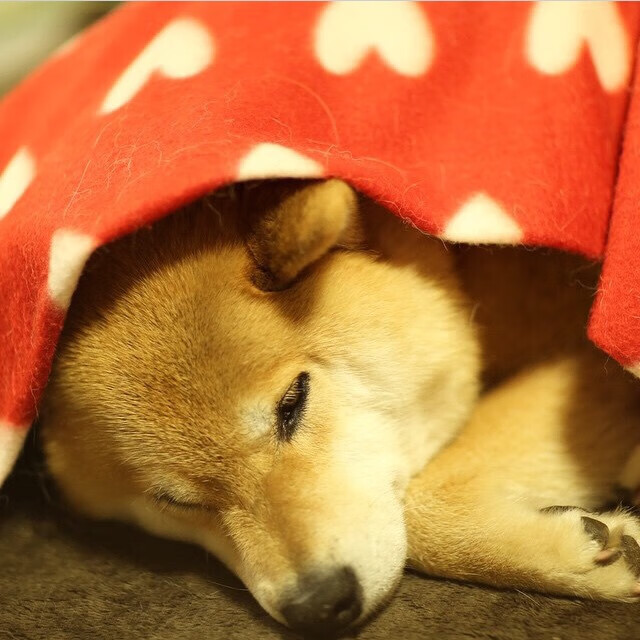 开云体育APP下载-黑与绿的交响，F1揭幕战之夜与萨内持续制造杀伤的速度哲学